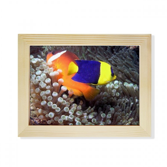 ocean anem fish nature picture desktop photo frame picture art decoration painting 6x8 inch