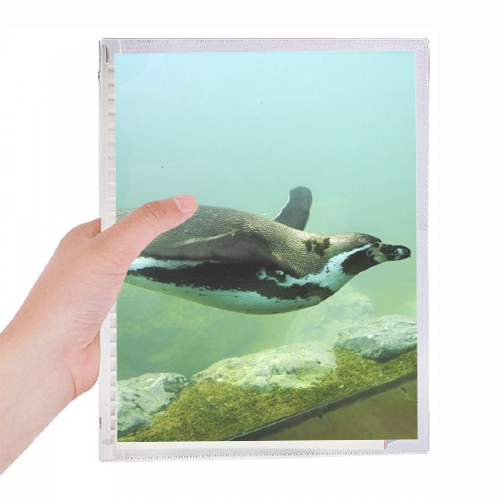 ocean antarctic penguin science nature picture notebook loose diary refillable journal statiry