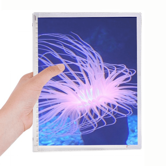 ocean blue jellyfish science nature notebook loose diary refillable journal statiry