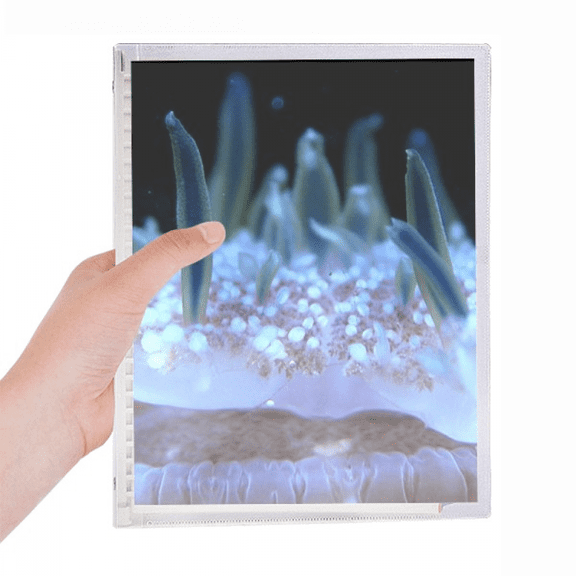 ocean blue jellyfish science nature notebook loose diary refillable journal statiry