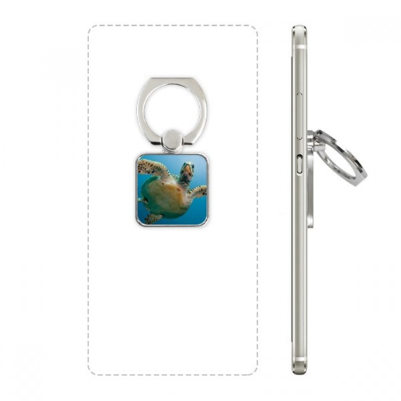 ocean blue water turtle science nature picture square cell ph stand holder bracket universal support