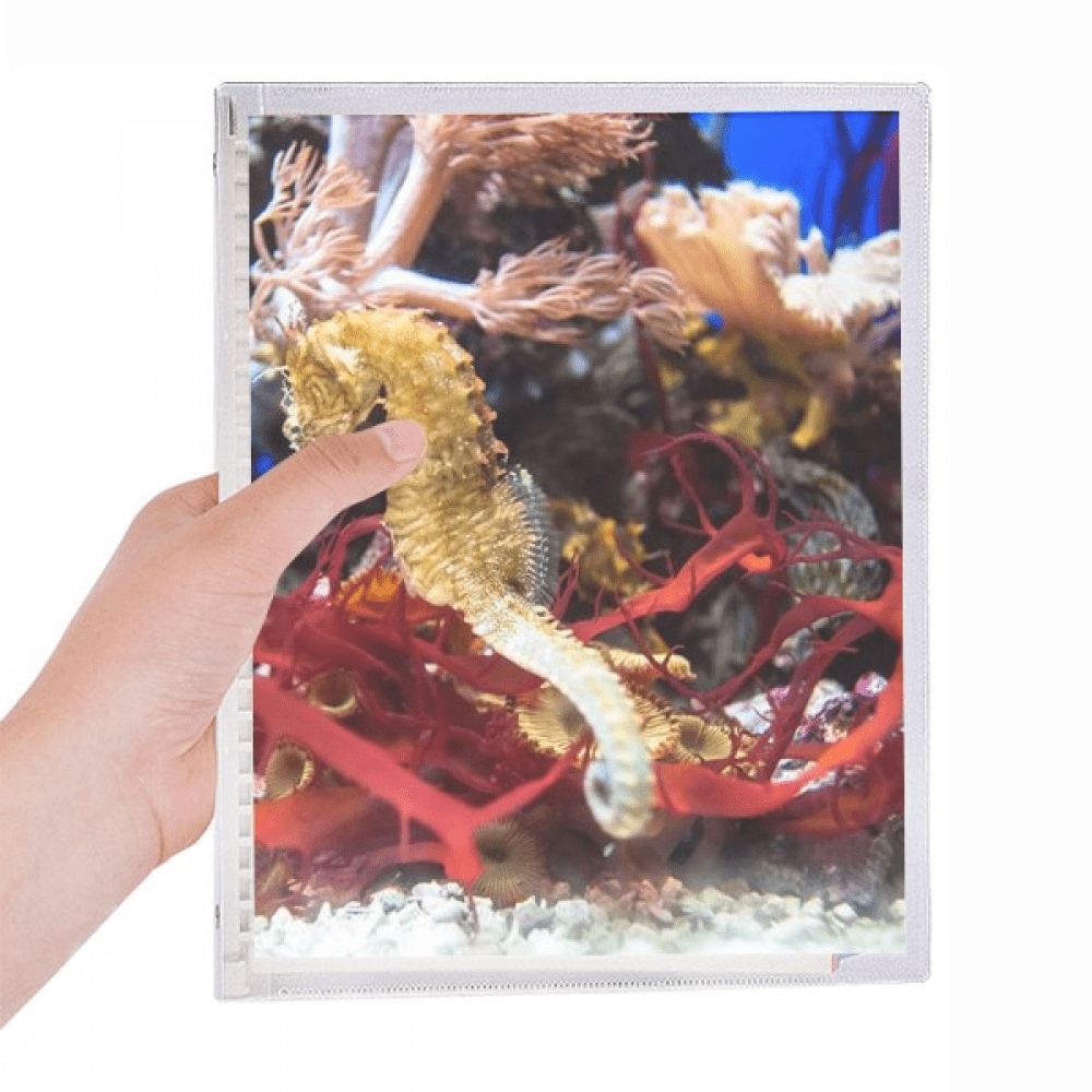 ocean deep water blue hippocampus water notebook loose diary refillable ...