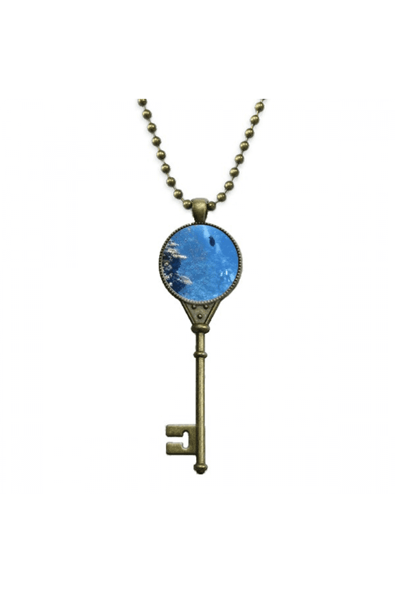 ocean fish diving science nature picture key necklace pendant tray embellished chain