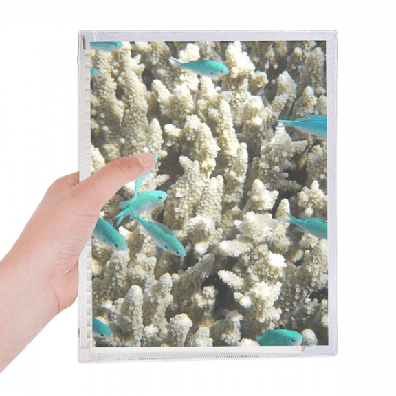 ocean fish science nature picture notebook loose diary refillable journal statiry