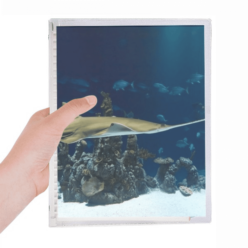 ocean ray skate science nature picture notebook loose diary refillable journal statiry