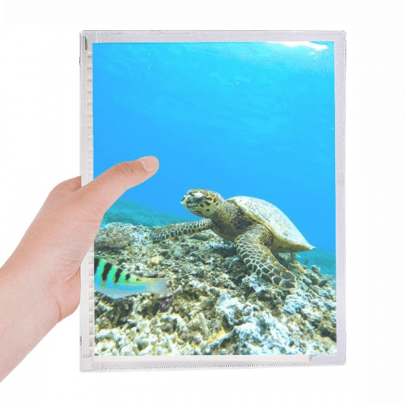 ocean sea turtle fish science nature picture notebook loose diary refillable journal statiry