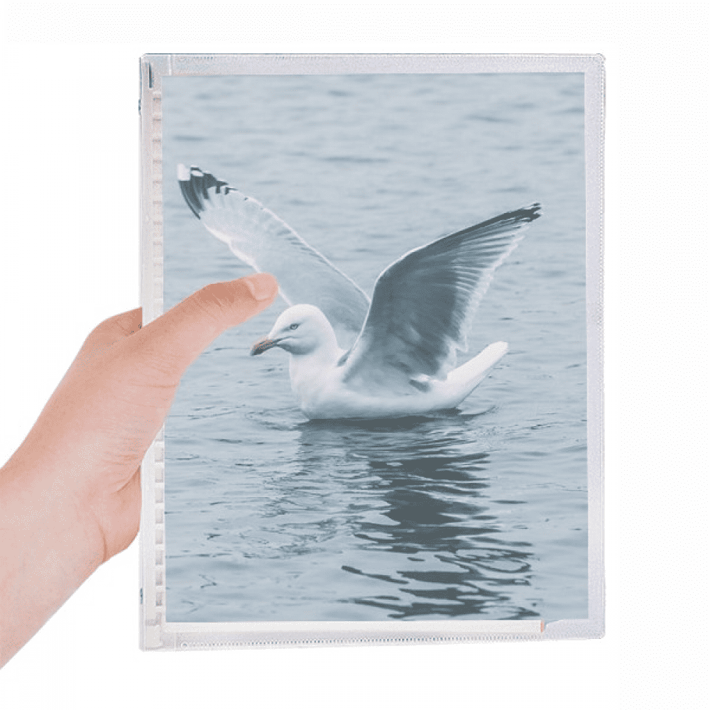 ocean water sea bird science nature picture notebook loose diary refillable journal statiry