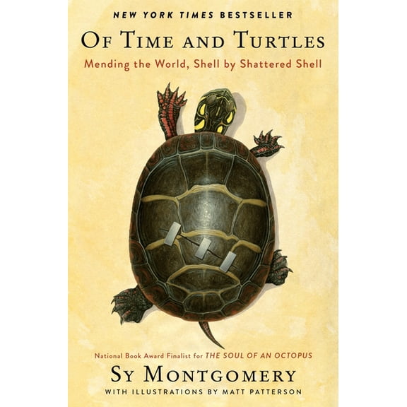 of Time and Turtles: Mending the World, Shell by Shattered Shell (Hardcover)