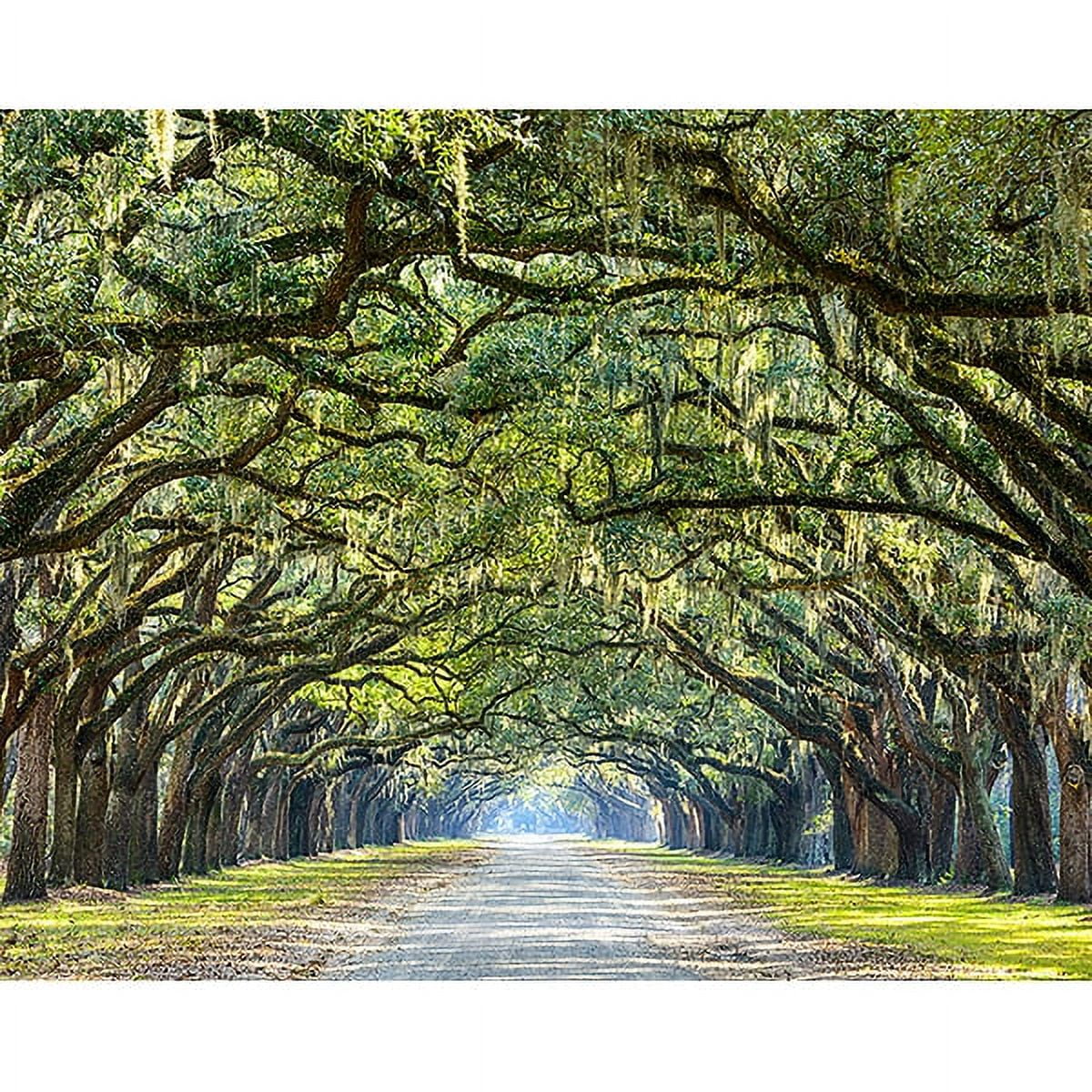 Green and Brown Non-Woven Trees Wall Mural, 98 x 19.7 inches