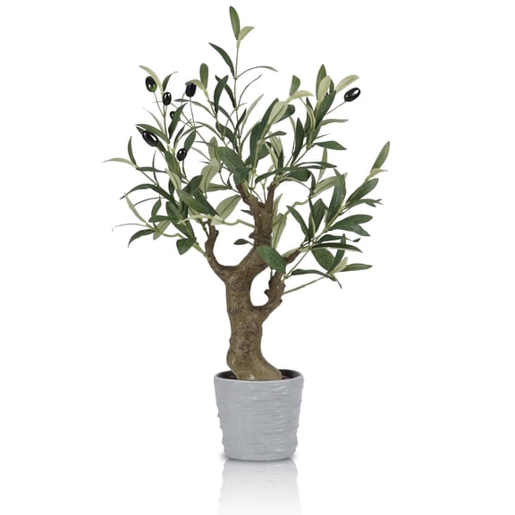 Small Artificial Olive Bonsai Tree Decor 20.5'' Tall Faux Olive Tree Potted Plant Desk Display with Bonsai Pot Decorative Greenery Realistic Wood for Home Office Countertop Kitchen Table Decor