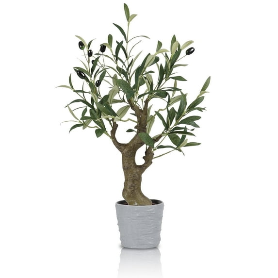 Small Artificial Olive Bonsai Tree Decor 20.5'' Tall Faux Olive Tree Potted Plant Desk Display with Bonsai Pot Decorative Greenery Realistic Wood for Home Office Countertop Kitchen Table Decor