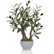 Small Artificial Olive Bonsai Tree Decor 18.5 Tall Faux Olive Tree Potted Plant Desk Display with Bonsai Pot Decorative Greenery Realistic Wood for Home Office Countertop Kitchen Table Decor