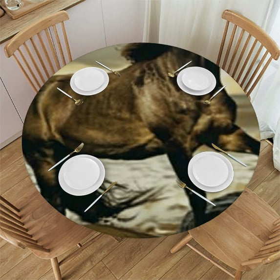 on The Round Tablecloth with Elastic Edge Fitted Table Cover Fitted Tablecloth for Dining Coffee Table Buffet