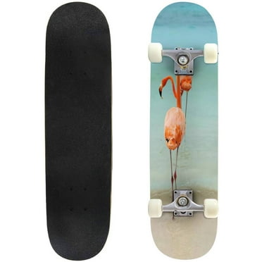 on a tropical island stock pictures royalty free Outdoor Skateboard Longboards 31"x8" Pro Complete Skate Board Cruiser