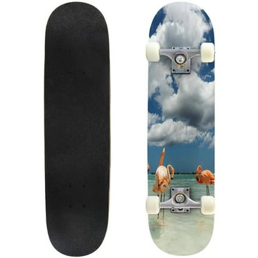 on a tropical island stock pictures royalty free Outdoor Skateboard Longboards 31"x8" Pro Complete Skate Board Cruiser