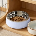 thumbnail image 1 of onlyliua 304 Stainless Steel Slow Feeder Pet Bowl Anti-Choke Non-Tip Raised Dog Cat Food Water Dish Dishwasher Safe Durable Rust-Resistant Design For Small To Medium Pets Slow Feeder Bowl, 1 of 6
