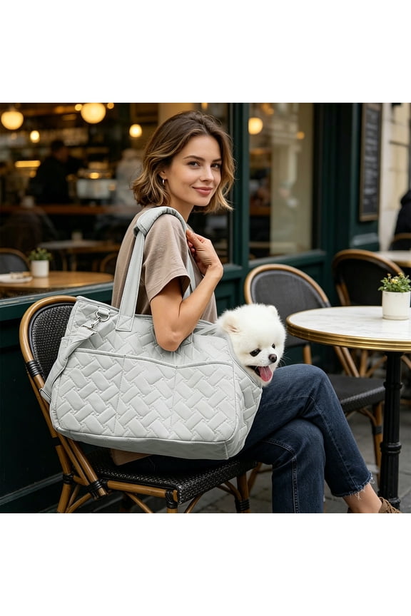 Foldable Handheld Shoulder Pet Carrier Bag For Cats And Small Dogs Lightweight Breathable Crossbody Travel Pouch With Head-Out Window And Safety Leash For Vet Visits Travel Pet Carrier
