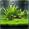 thumbnail image 1 of onlyliua Gifts 60x40cm Artificial Aquarium Grass Mat Dense Green Plant Carpet Substrate For Fish Tank Aquascaping Durable Lifelike Underwater Lawn Decoration, 1 of 6