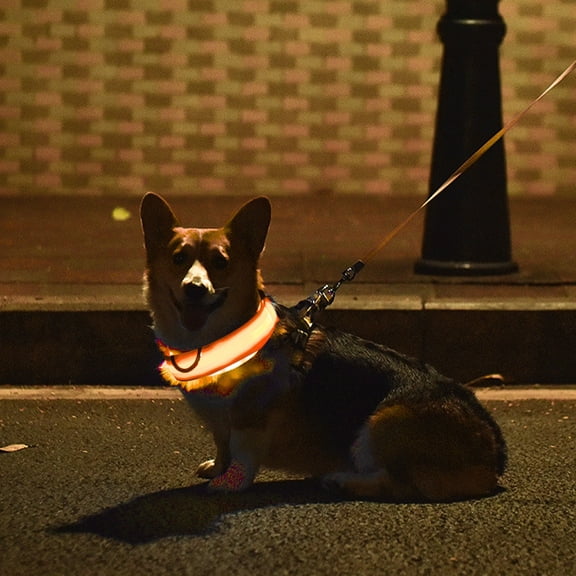 onlyliua LED Light-Up Dog Collar USB Rechargeable High-Visibility Safety Collar With Adjustable Strap And Multiple Flash Modes For Night Walking Small To Large Dogs LED Collar Visibility