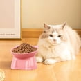 thumbnail image 1 of onlyliua Large Capacity Ceramic Cat Food Bowl With Ergonomic Neck-Protecting Tilt Anti-Tip Design Cute Drinking Dish For Cats And Small Dogs Dishwasher-Safe Durable Pet Feeding Bowl, 1 of 6