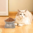 thumbnail image 1 of onlyliua Large Capacity Ceramic Cat Food Bowl With Ergonomic Neck-Protecting Tilt Anti-Tip Design Cute Drinking Dish For Cats And Small Dogs Dishwasher-Safe Durable Pet Feeding Bowl, 1 of 6
