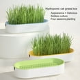 thumbnail image 1 of opvise Cat Grass Planter Soilless Planting Visible Water Level Drain Grid U-hole Sturdy Sink Detachable Catnip Grow Box Green, 1 of 8