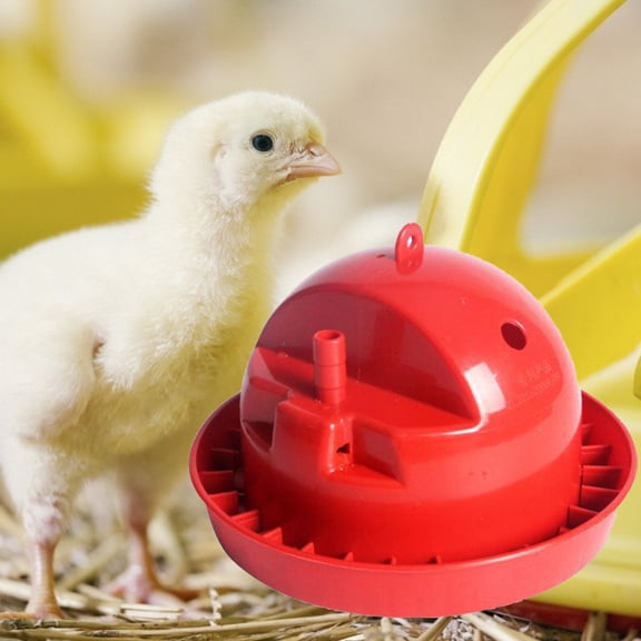 opvise Chick Drinking Bowl High Capacity Automatic Plastic Detachable Poultry Waterer for Pet 5