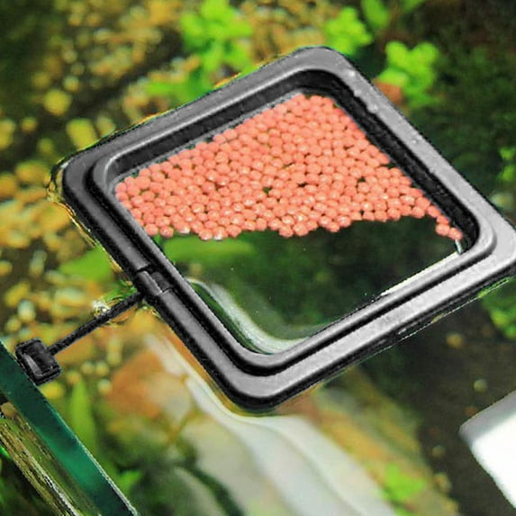 opvise Fish Tank Floating Food Feeder Buoyancy Ring Suction Cup Pool Feeding Tool Black Round