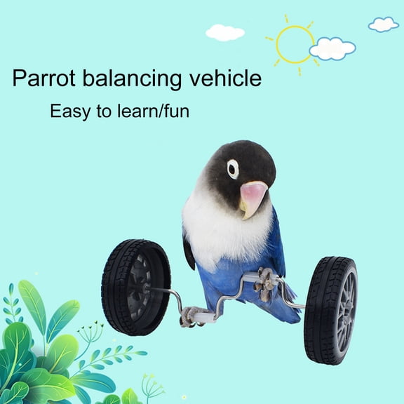 opvise Parrot Balance Toy Mini Double Row Roller Skates Pet Small Bird Intelligence Interactive Training Toy Rotary Wheels Bird Bicycle Black