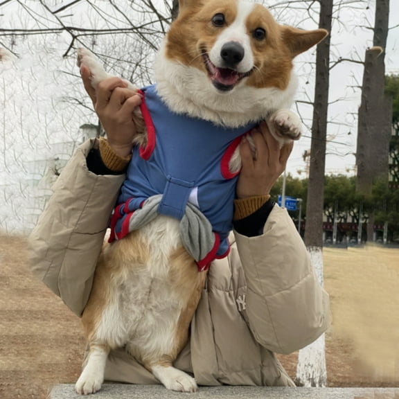 opvise Pet Sterilization Suit Anti-scratch Infection Prevention Stripe Printing Pet Cat Dog Surgical Recovery Clothes Red