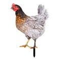 thumbnail image 1 of opvise Rooster Decor Realistic Life-like Ornamental Double-sided Printing Acrylic Garden Statue Chicken for Yard E, 1 of 8