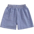 thumbnail image 1 of oqasdz Girls Shorts Toddler Baby Casual Summer Gingham Plaid Seersucker Elastic Waist Ruffles Hem Bottoms Shorts Size 9 M-12 M, 1 of 7