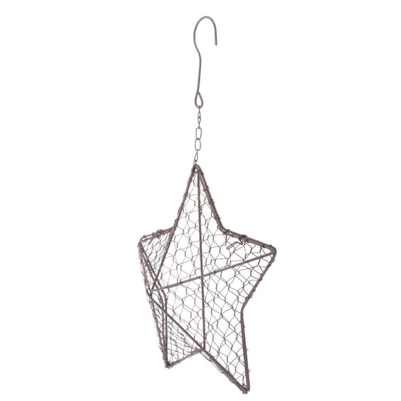 oshhni 21cm Retro Iron Star Shape Pot Metal Hanging Planter Plant Holder Star Shape Size