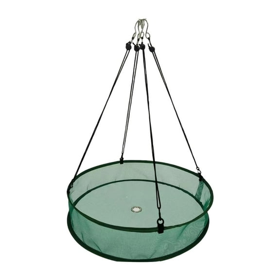 oshhni Bird Seed Catcher Tray Decoration Hanging Hoop for Outdoor Birds Feeder Yard Green