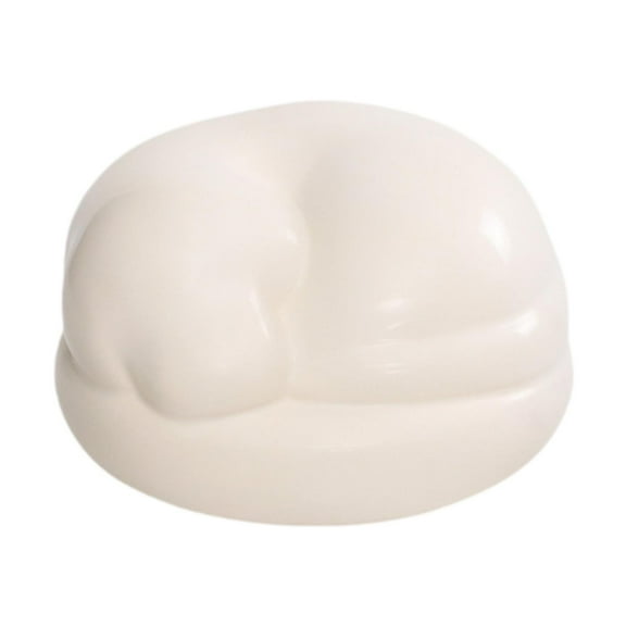oshhni Ceramic Pet Urn Casket Decorative Pet Hair Storage Jar for Bunny s Cats Dog