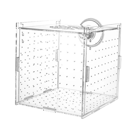 oshhni Fish Breeding Box for Aquarium Fish Isolation Box for Turtle Fry Baby Fishes Single Room
