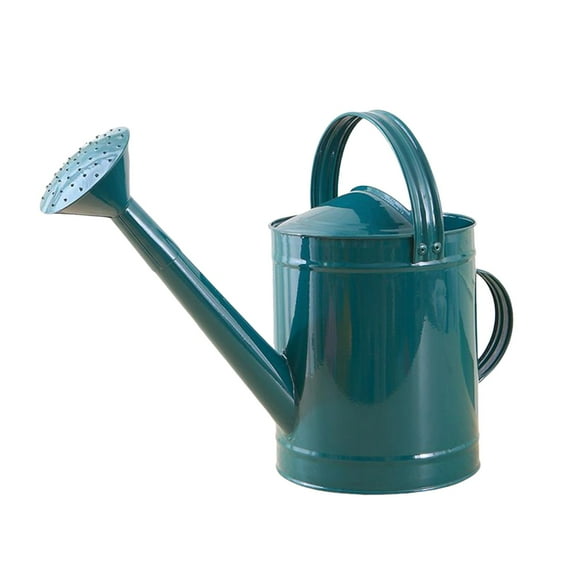 oshhni Metal Watering Can Easy Pour Gardening Tool for Plants Household Houseplants blue