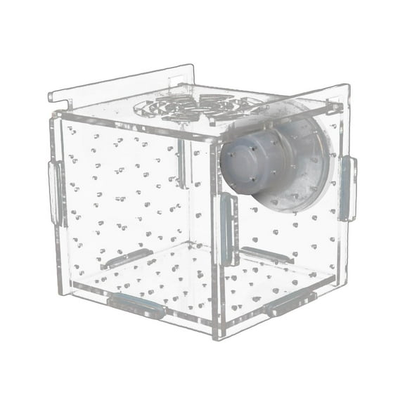 oshhnii Breeder Box, Hatching Box, Clear Durable Suction Cup Aquarium Supply Breeding Box for Clown 6cmx6cmx6cm