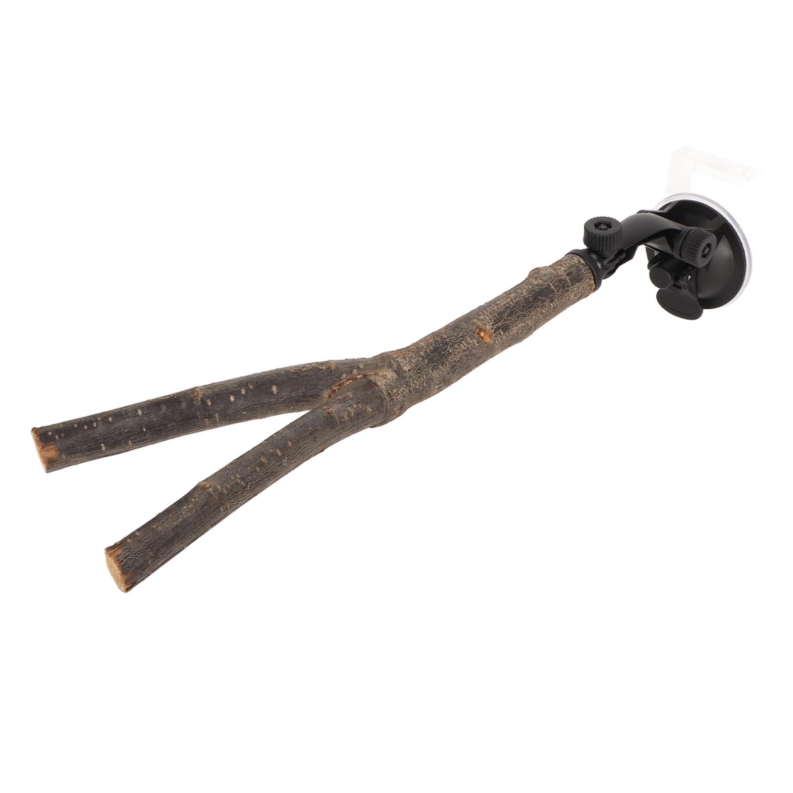 Wooden Perch, Prevent Slip Training Bird Branch Perch Interactive For