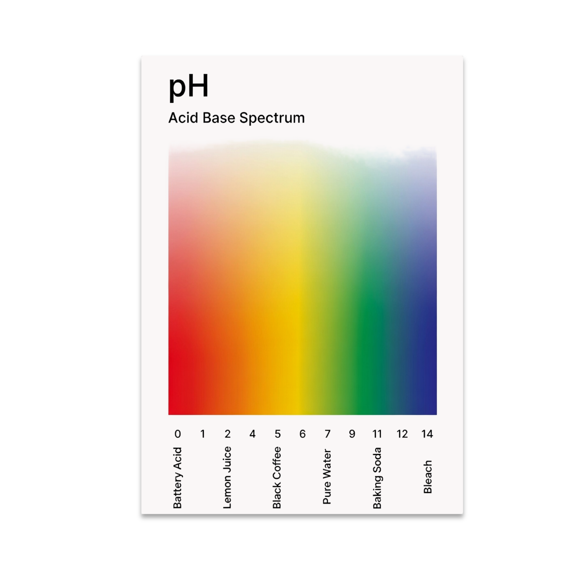 pH Acid Base Spectrum Infographic Wall Decor - Science Enthusiast - 13x19 Poster Print