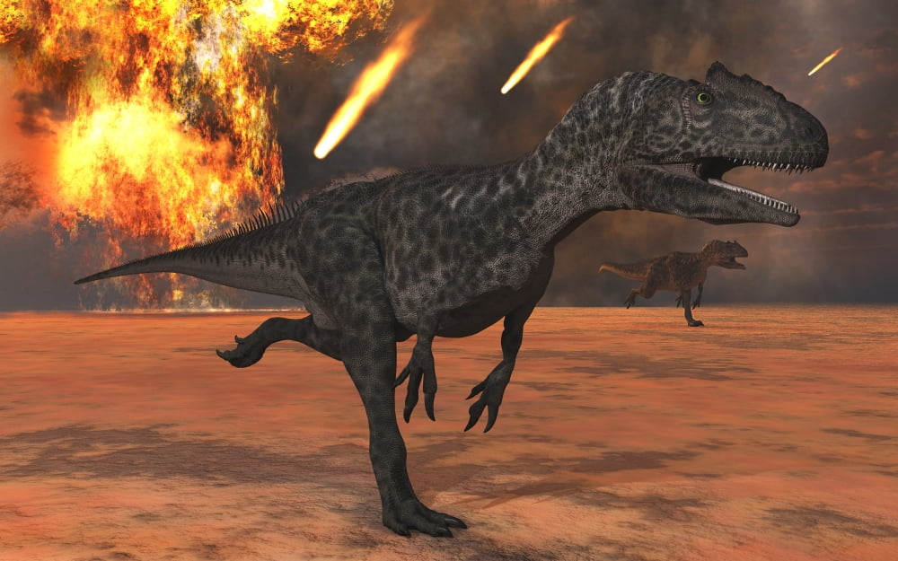 A pair of Allosaurus dinosaurs running from the site of meteorite impacts on a prehistoric Earth Canvas Art - Mark StevensonStocktrek Images (36 x 23)