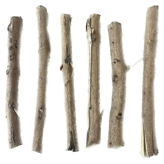 palo vencedor (6 sticks) palos de santeria religiosn elegua 7 potencias
