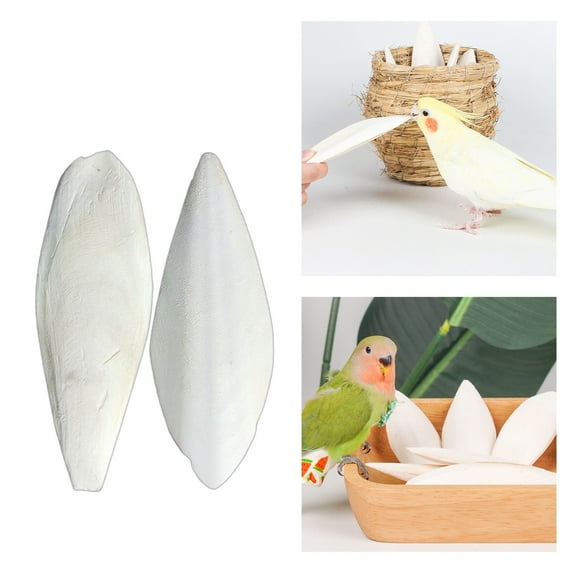 pangttian Cuttlebone For Birds,Natural Cuttlefish Bone for Birds & Tortoises, 7-10cm Parrot Molar Chewing Toy, Cage Enrichment Accessory 1pc