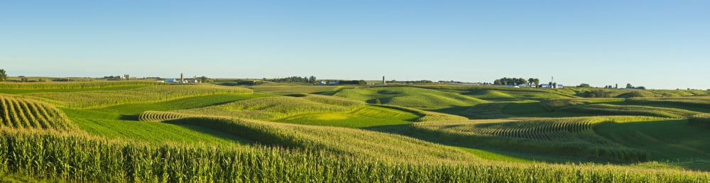 A panoramic view of alfalfa fields and corn fields that are terraced among dairy farms Iowa United States of America Canvas Art - Scott Sinklier Design Pics (42 x 10)