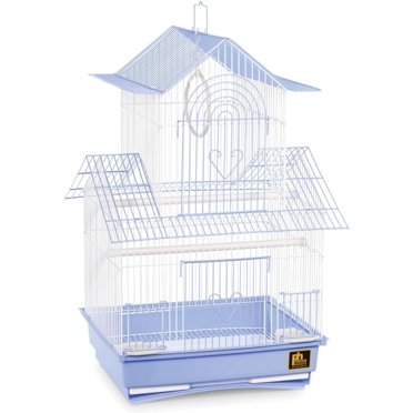 Picture Idea: Yml A5834Blk Bar Spacing Small Parrot Cage 18 X 14