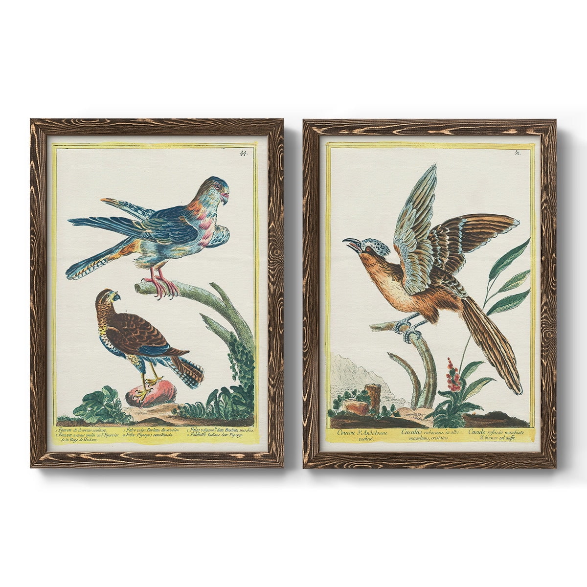 Pastel Birds III - Premium Framed Canvas 2 Piece Set - Ready to Hang