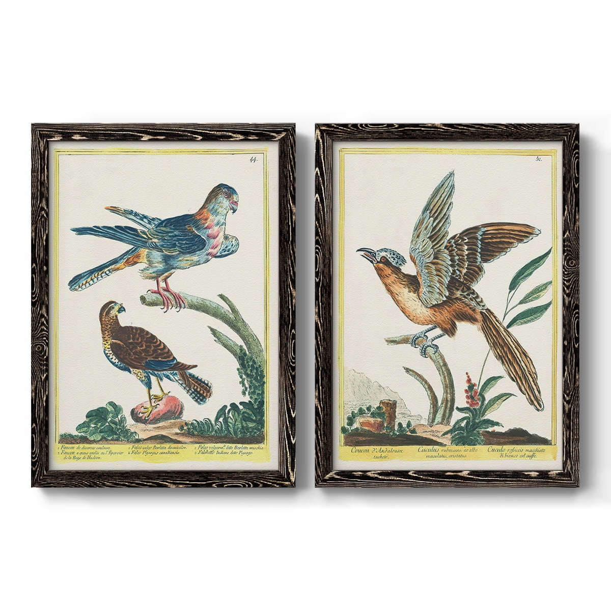 Pastel Birds III - Premium Framed Canvas 2 Piece Set - Ready to Hang