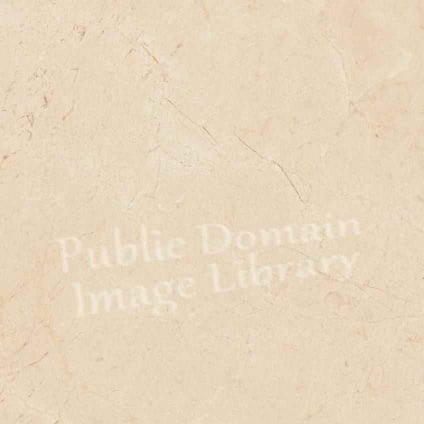 pdilmarble Canvas Art - pdilmarble (24 x 36)