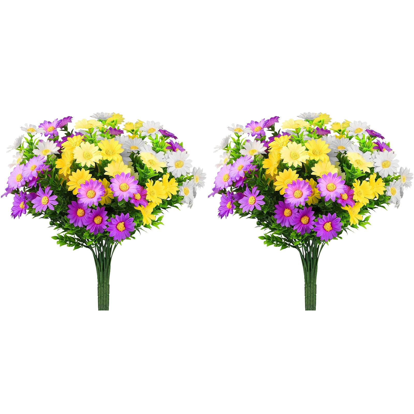 z-2PCS