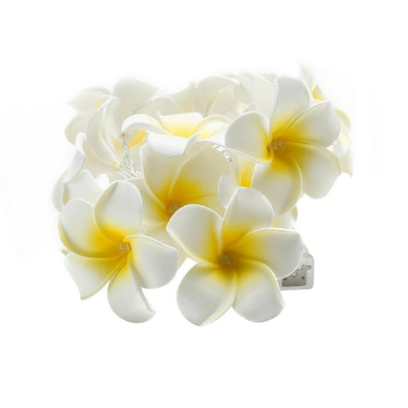 pdqouc Blinking Lights Outdoor Led Solar Miniature Lights 50 Warm Led Mini Lights Frangipani Wedding Vintage Home String Battery Party LED Fairy Light